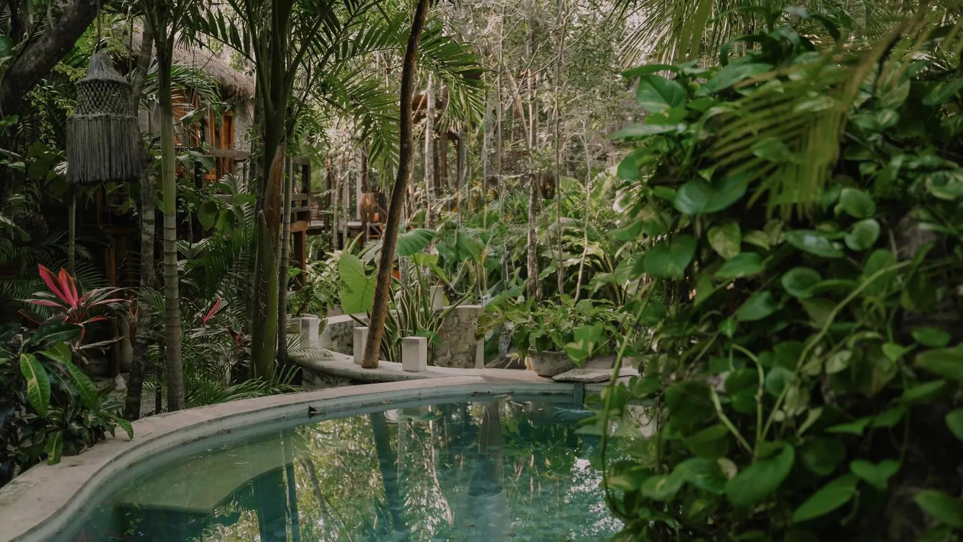 Anand Ecoaldea Villa Puerto Morelos Mexico